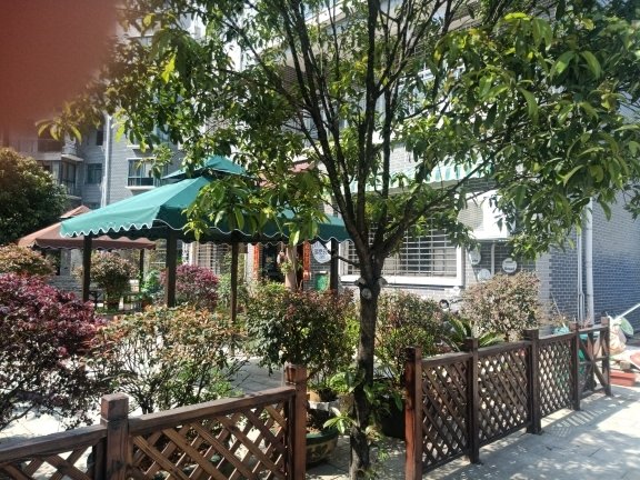 ZI XING DONG JIANG HU LU YOU ZHI JIA Over view