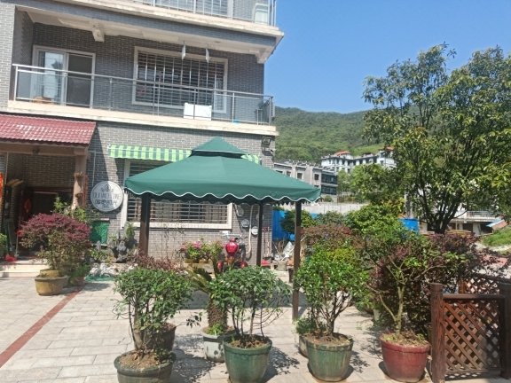 ZI XING DONG JIANG HU LU YOU ZHI JIA Over view