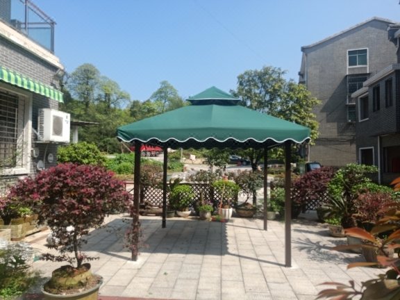 ZI XING DONG JIANG HU LU YOU ZHI JIA Over view