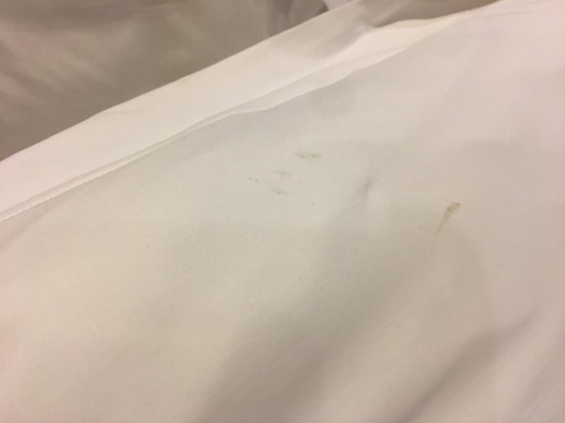 丽枫酒店(广州琶洲店)