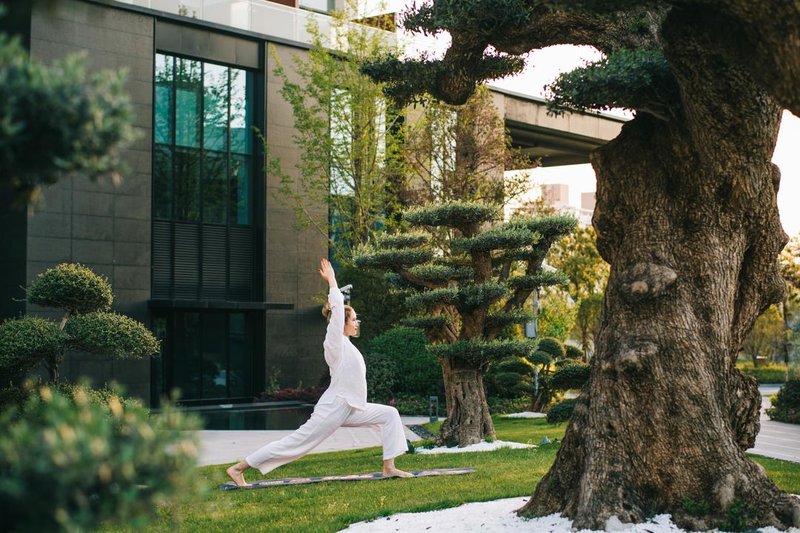 The Anandi Hotel & Spa Shanghai Over view