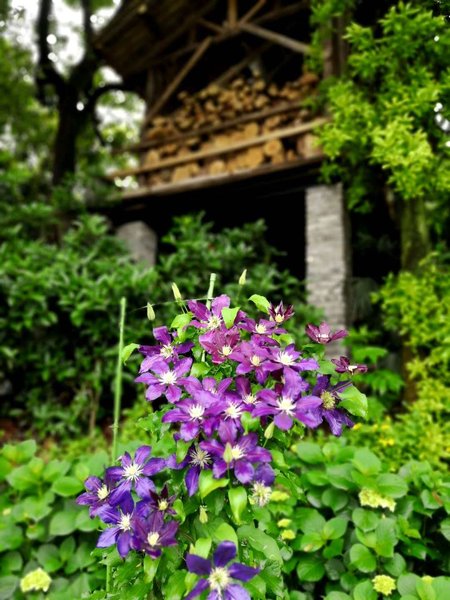 Nanlu Pusu Hostel Over view