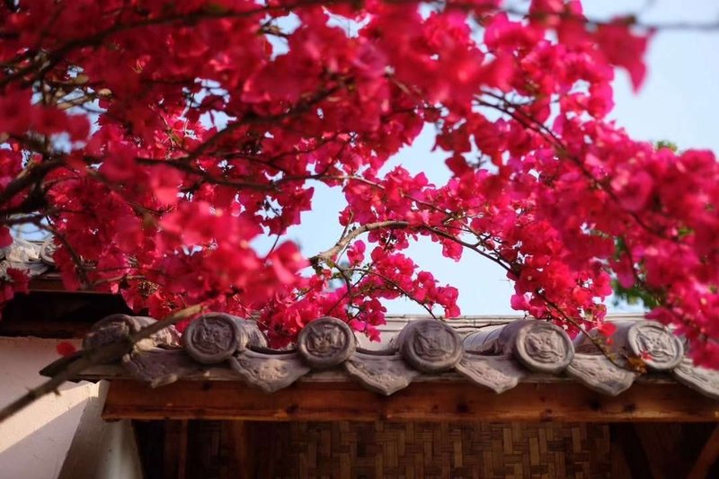 Nanlu Pusu Hostel Over view