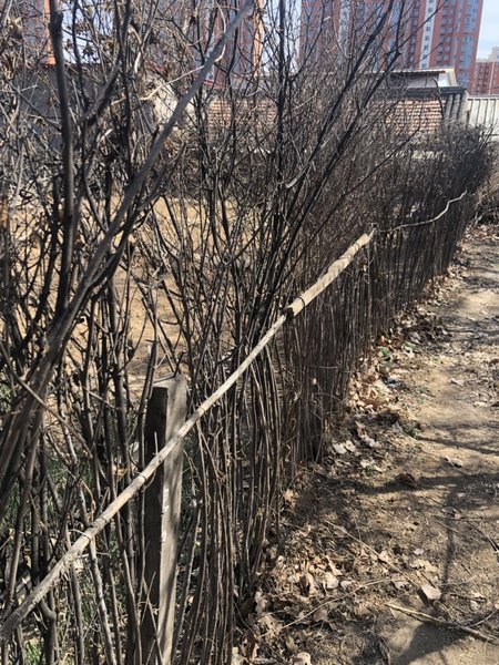 YUDAO hotel Over view