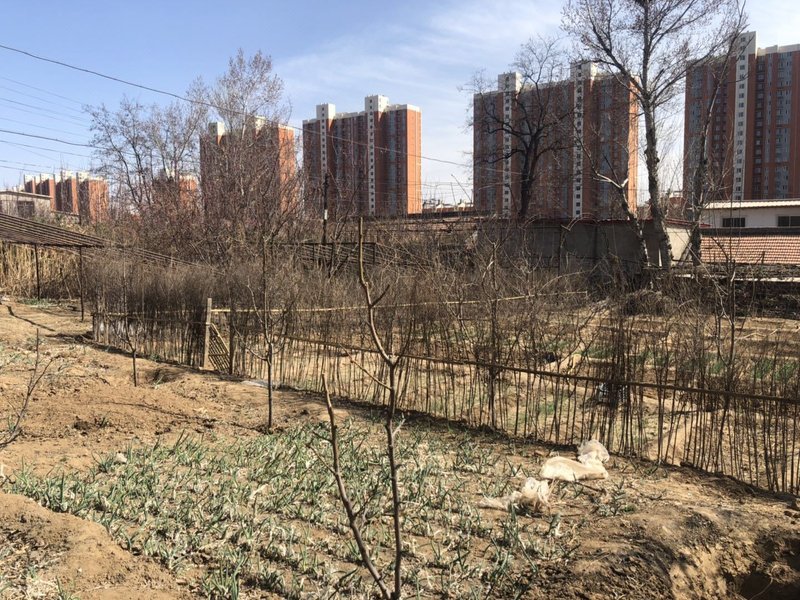 YUDAO hotel Over view