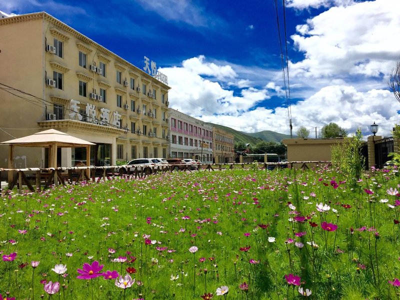 Tian Yue Hotel Over view