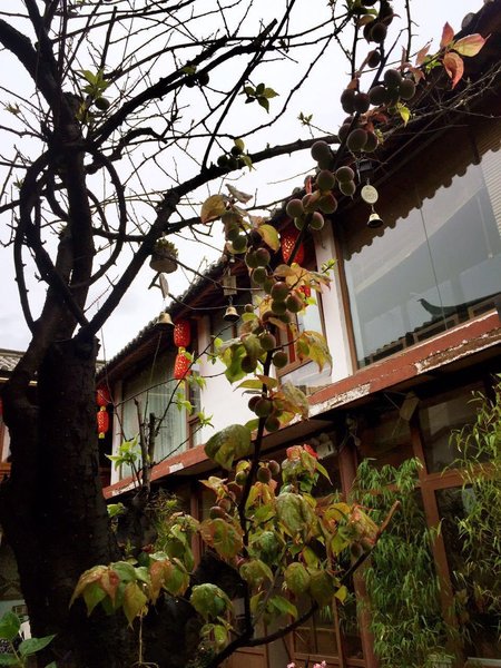 Lijiang beam Hezhi Park Inn Over view