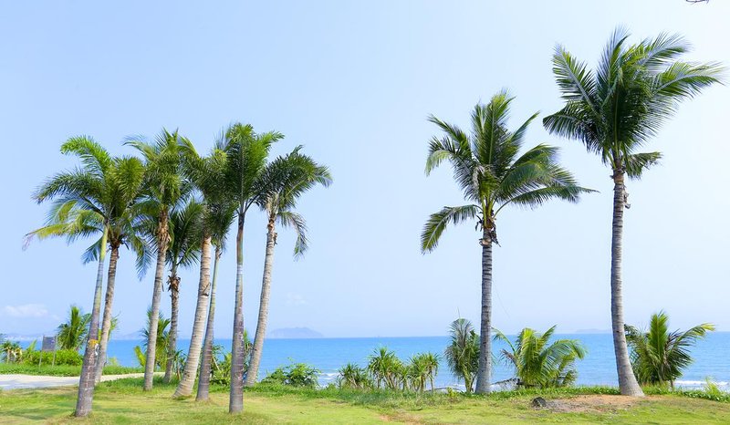 Sanya Blue Ocean Yefeng Seaview Apartment Over view