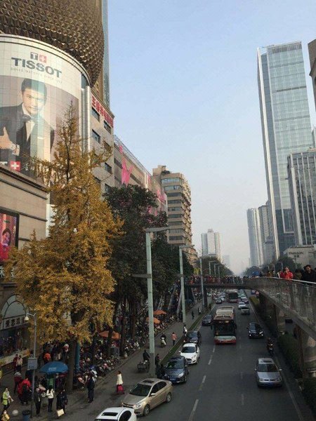 Chengdu Wangfujing Business Hotel Over view