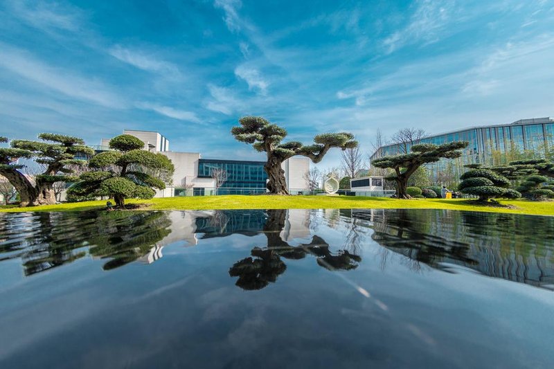 The Anandi Hotel & Spa Shanghai Over view