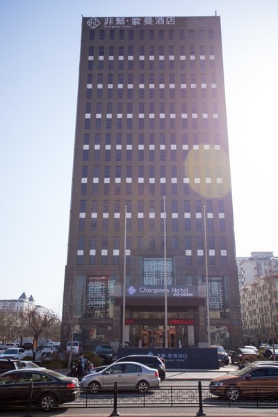 Chonpines Hotel ZimanOver view