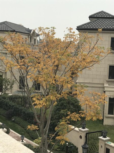 Lanpai Home Party Hotel (Shanghai Meilan Lake)Over view