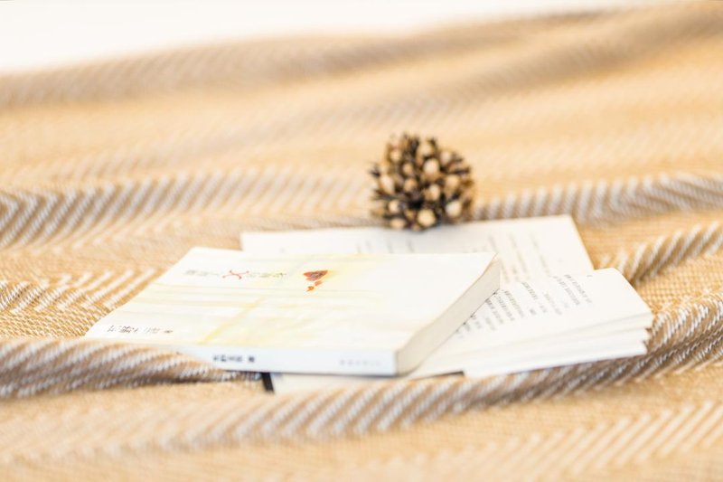 Buerju Light Luxury HostelGuest Room