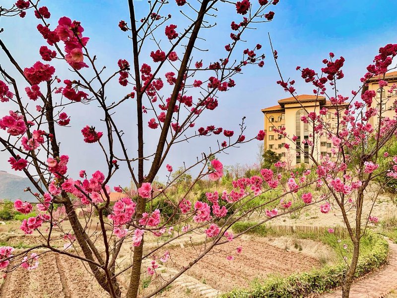 FuXian Lake Holiday House Over view