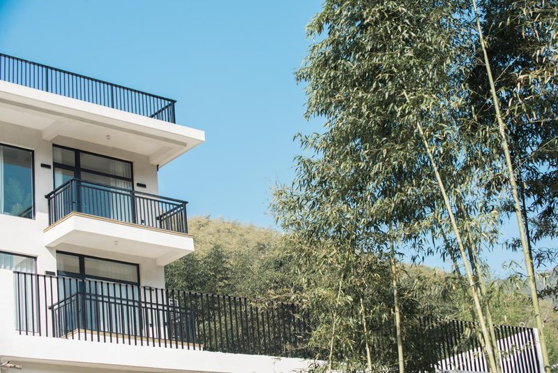 Doge Theme Homestay Over view