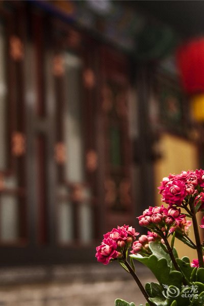 Pingyao Jin Tai Sheng Inn Over view