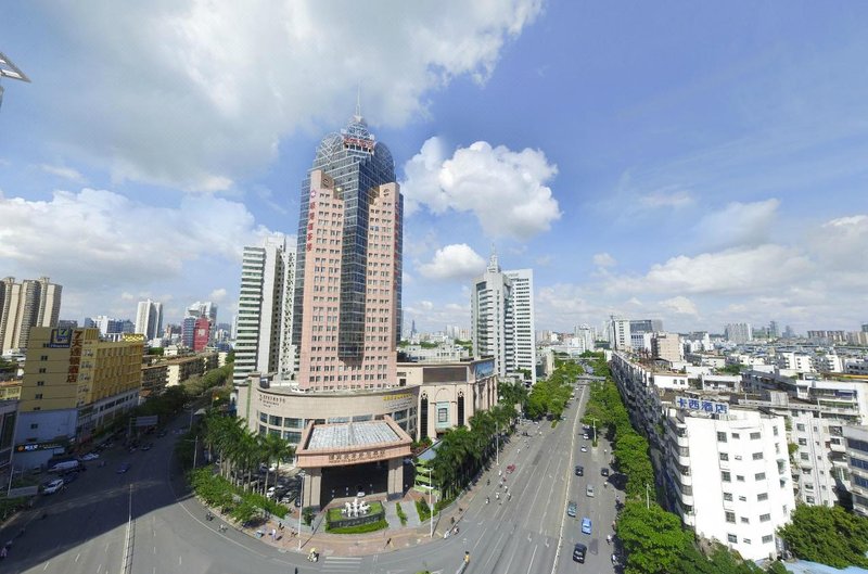 Presidential Elegant Healthcare Hotel Over view