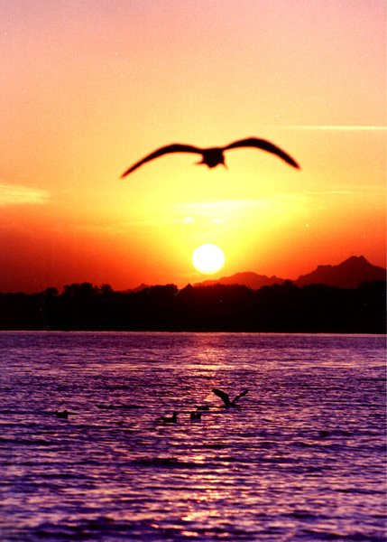 seven hotel周边景点