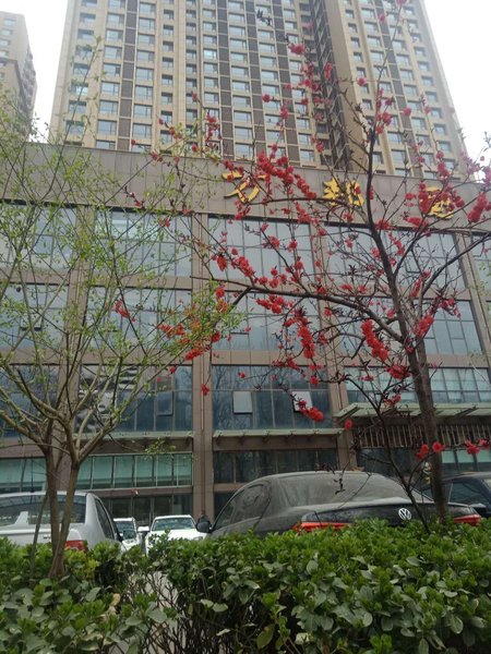 strawberry  shengdai Over view