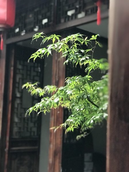 SHANGHAI SANQIAO HOTEL Over view