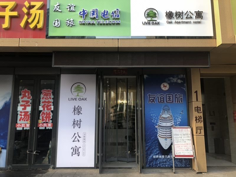 Oak International Apartment (Taiyuan Changfeng Business District Mixc)Over view