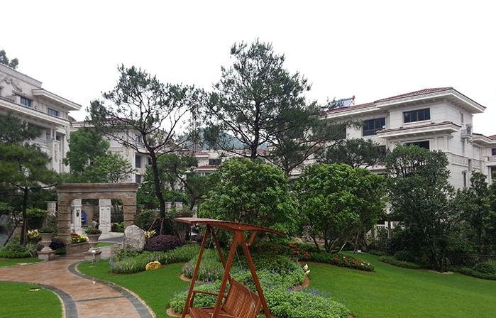 Niaoxing Shanhe Holiday Villa Over view