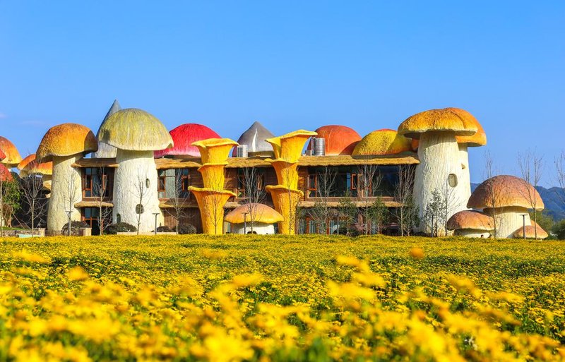 Mushroom outdoor luxury hotel Over view