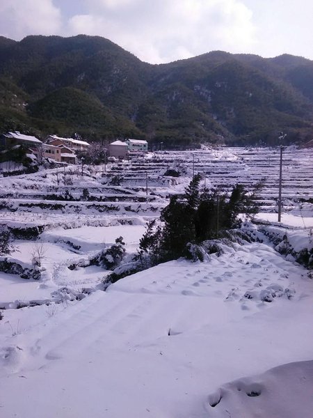 Anji Green Villa Over view