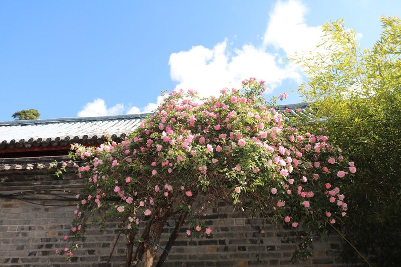 Lijiang Old Town Gubai Hostel over view