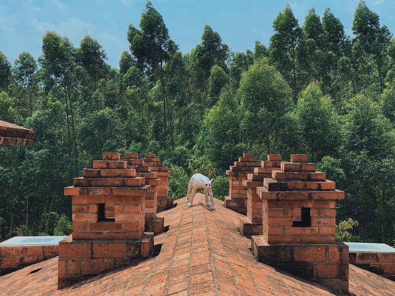 Dengfeng Xiangwang Art HotelHotel public area