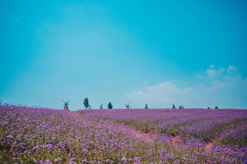 Dengfeng Xiangwang Art Hotel周边景点