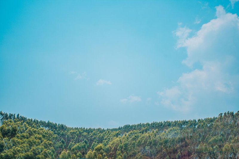 Dengfeng Xiangwang Art Hotel周边景点