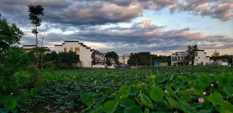 The Garden of Natural Inn Over view