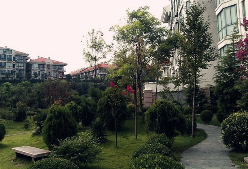 Blue Summer MotelOver view