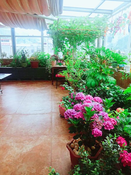 Gudaofengqing Hotel休闲