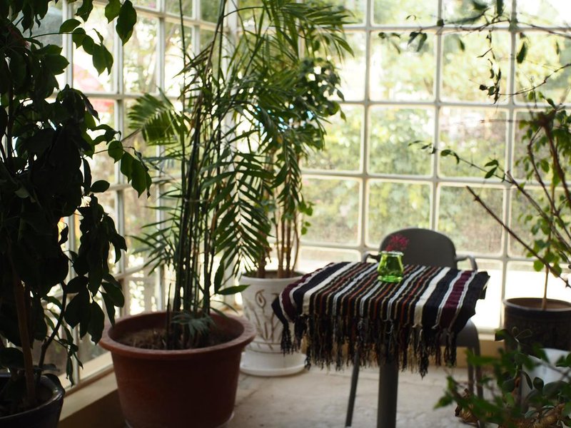 Dunhuang International Youth Hostel 休闲