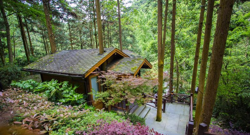 Ninghai Forest Hot Spring Resort Over view