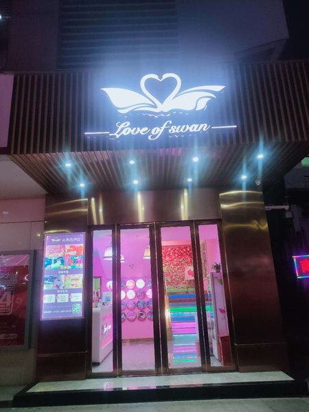 Swan Love Hotel (Shenzhen Nanshan) over view