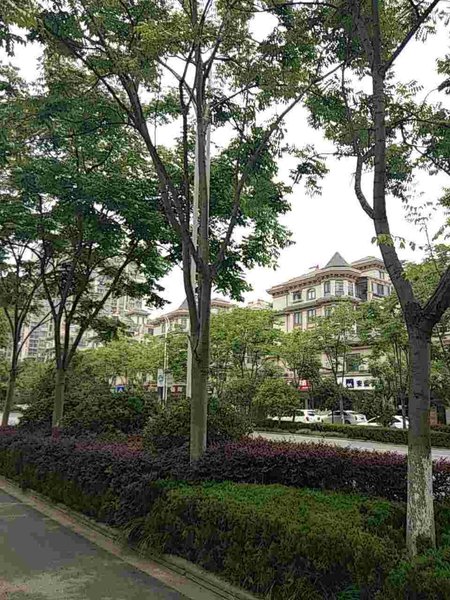 Shijiyangguang Hotel Over view