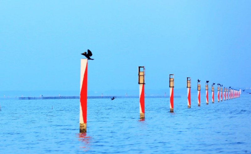 Sunshine Tai Lake Resort Suzhou Over view