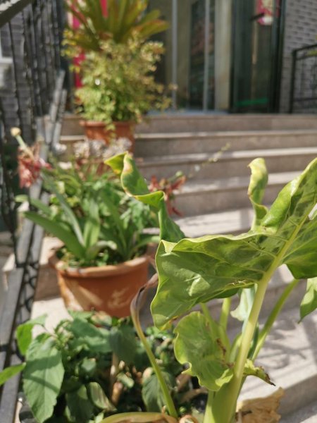 Yuntai Mount Yunjie Hotel 酒店外观