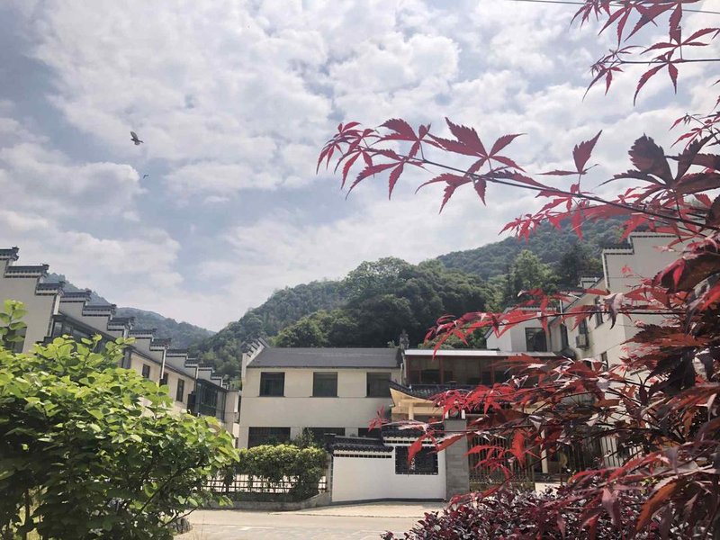 Yifengyuan Tea Expo Park Over view