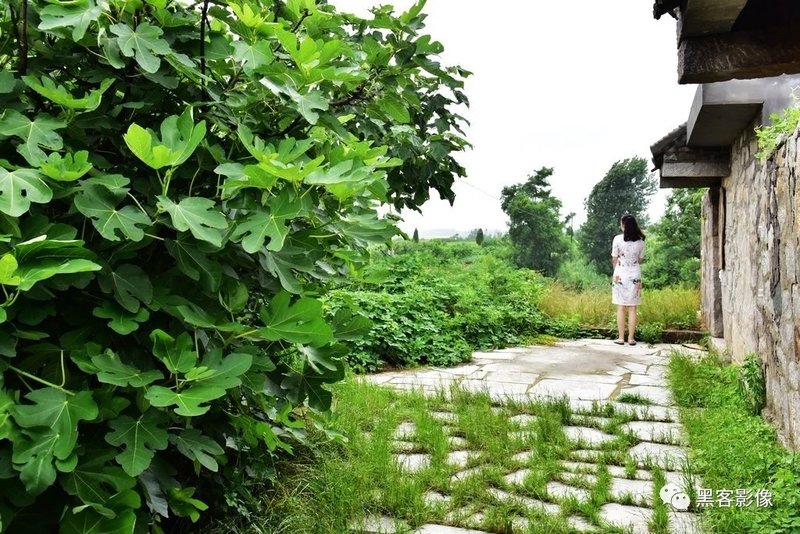 Mumu Retreat Baiziliu Over view