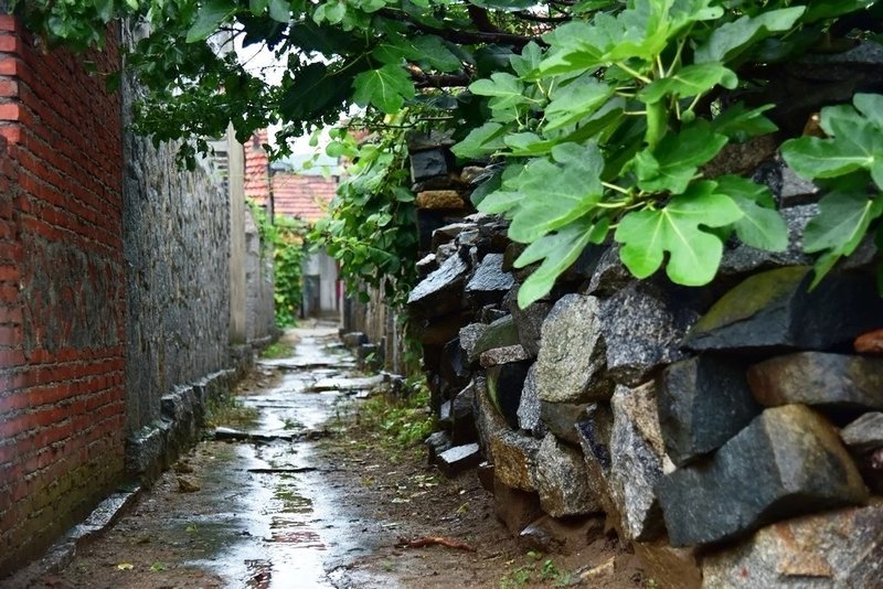 Mumu Retreat Baiziliu Over view