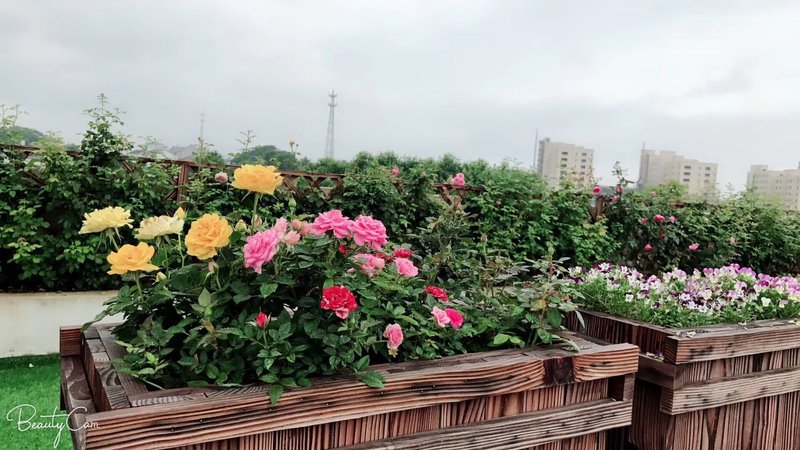 Xinchang meets a resident of Xishan Over view