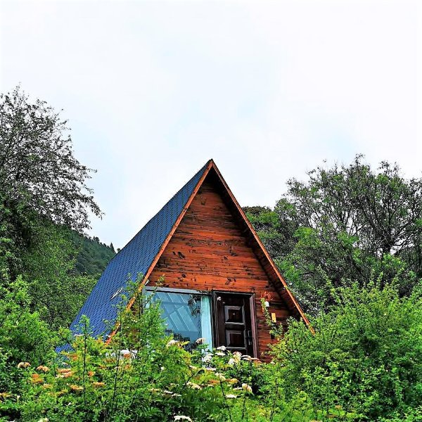 Hotel CocoonOver view