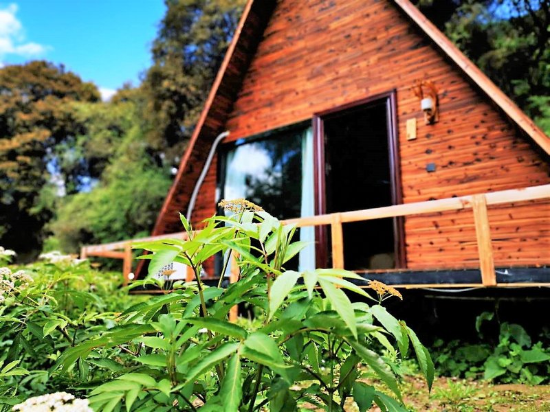 Hotel CocoonOver view