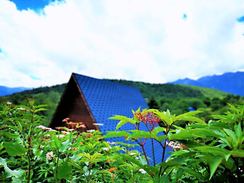 Hotel CocoonOver view