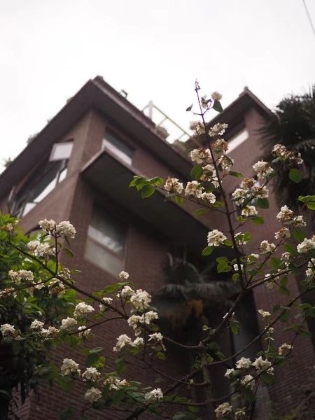 Sofia Garden Homestay Over view