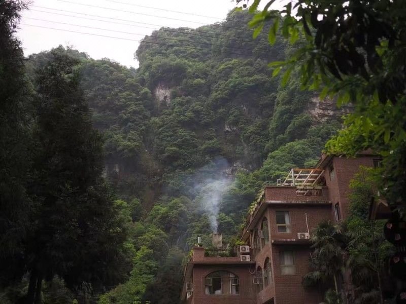 Sofia Garden Homestay Over view